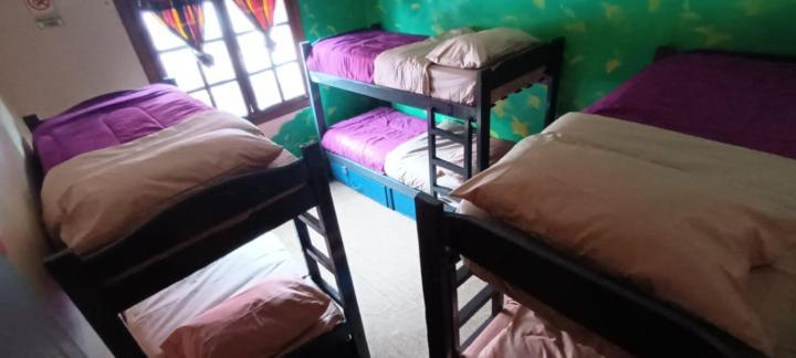 Hostel Cruz Del Sur อูซัวยา ภายนอก รูปภาพ
